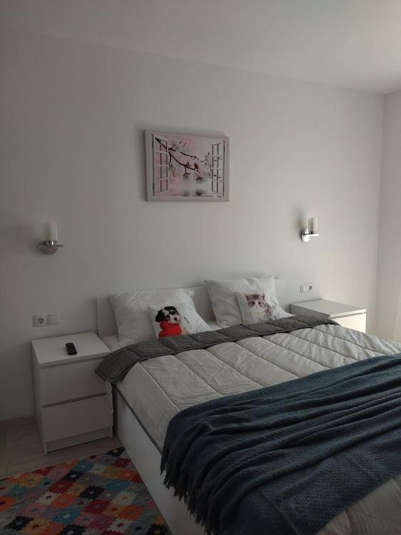 Belcara Apartment Буштени Экстерьер фото